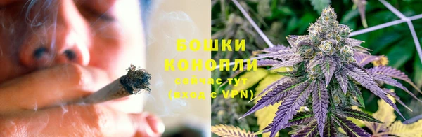PSILOCYBIN Кукмор