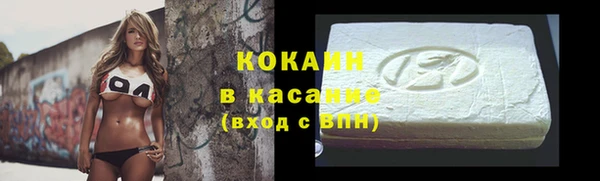 PSILOCYBIN Кукмор