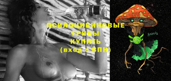 2c-b Краснослободск