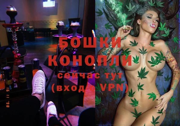 гашик Костерёво