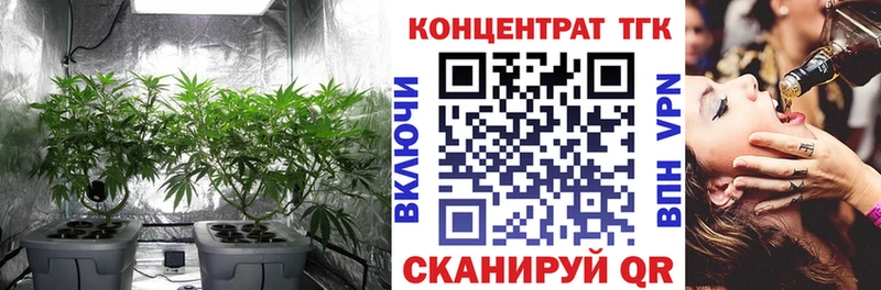 Дистиллят ТГК Wax Павловский Посад
