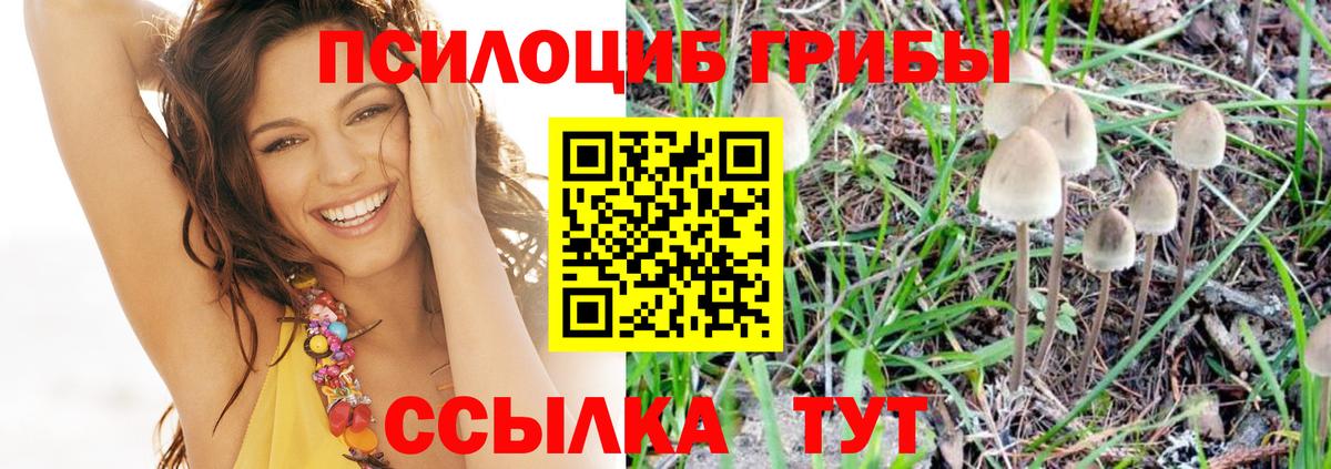 Псилоцибиновые грибы GOLDEN TEACHER  Вход с VPN  Павловский Посад 