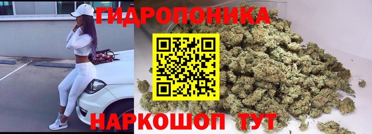 Бошки Шишки Bruce Banner  Павловский Посад  МАРИХУАНА индика  Каннабис Bruce Banner  МАРИХУАНА Amnesia 